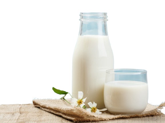 খাঁটি গরুর দুধ - ৫ লিটার